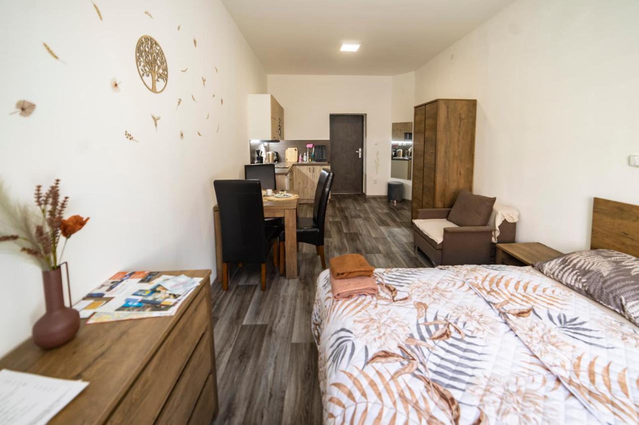 Apartmany Nezarka A Privatni Wellness Jindrichuv Hradec Εξωτερικό φωτογραφία