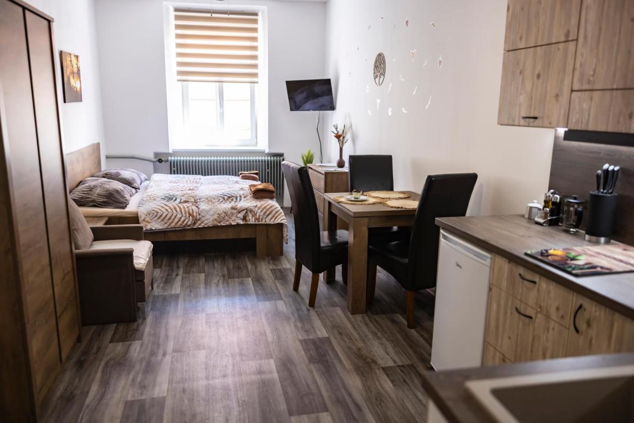 Apartmany Nezarka A Privatni Wellness Jindrichuv Hradec Εξωτερικό φωτογραφία
