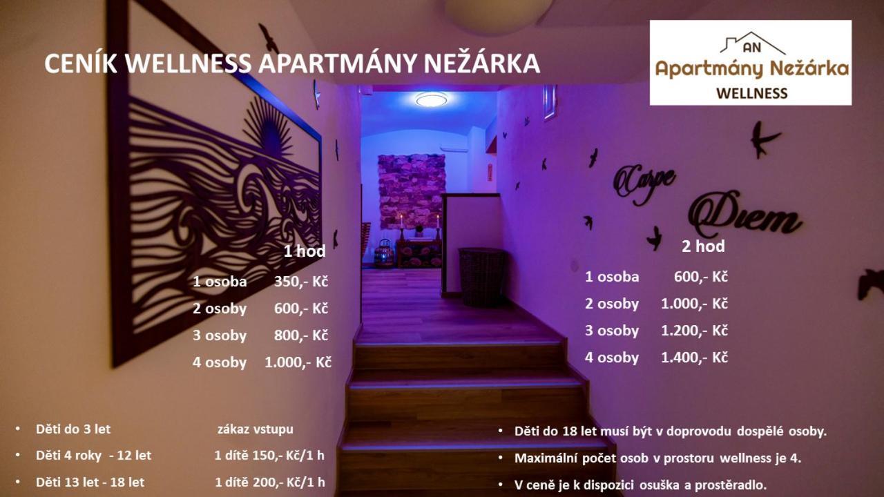 Apartmany Nezarka A Privatni Wellness Jindrichuv Hradec Εξωτερικό φωτογραφία